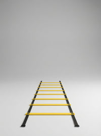AGILITY LADDER