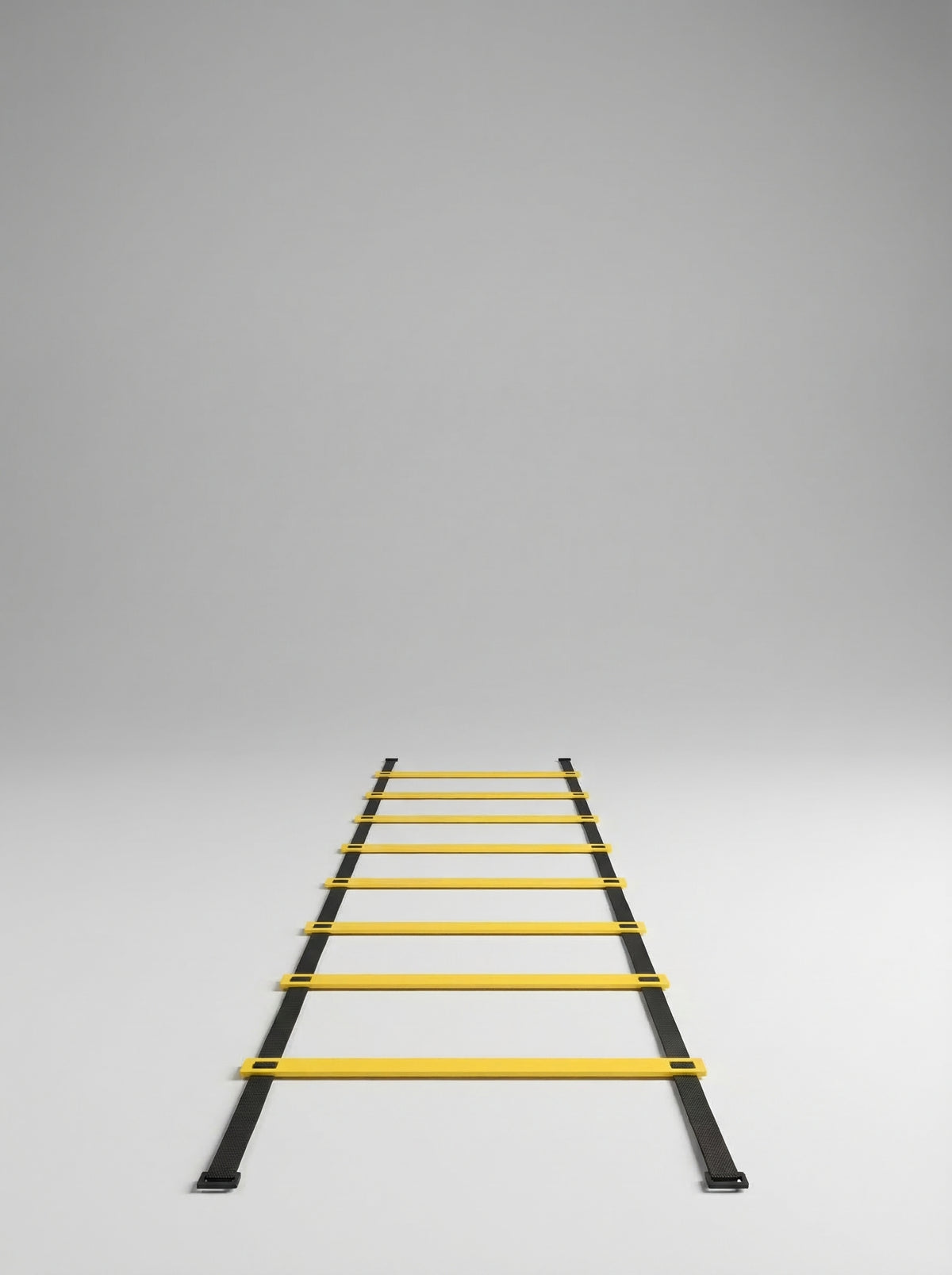 AGILITY LADDER