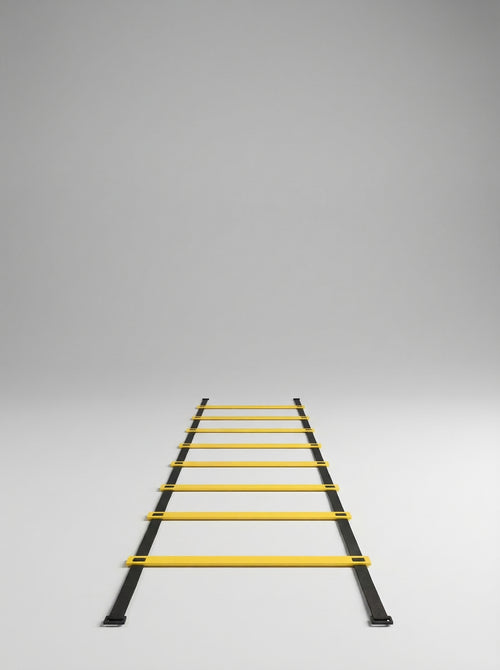 AGILITY LADDER