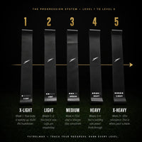 THE PROGRESSION BANDS - FUTBOLMAX LLC